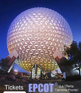 banner-epcot_300X400