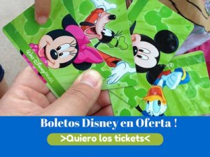 disney-tickets-300X400